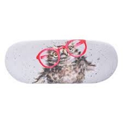 Glasses Case Owl